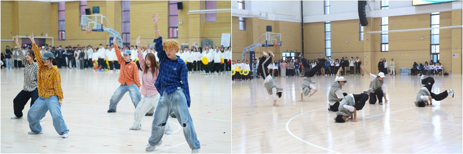 1762501781897438.jpg 1762501781897438.jpg