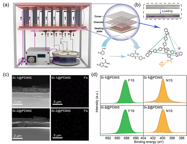 1724126313455491.png image.png